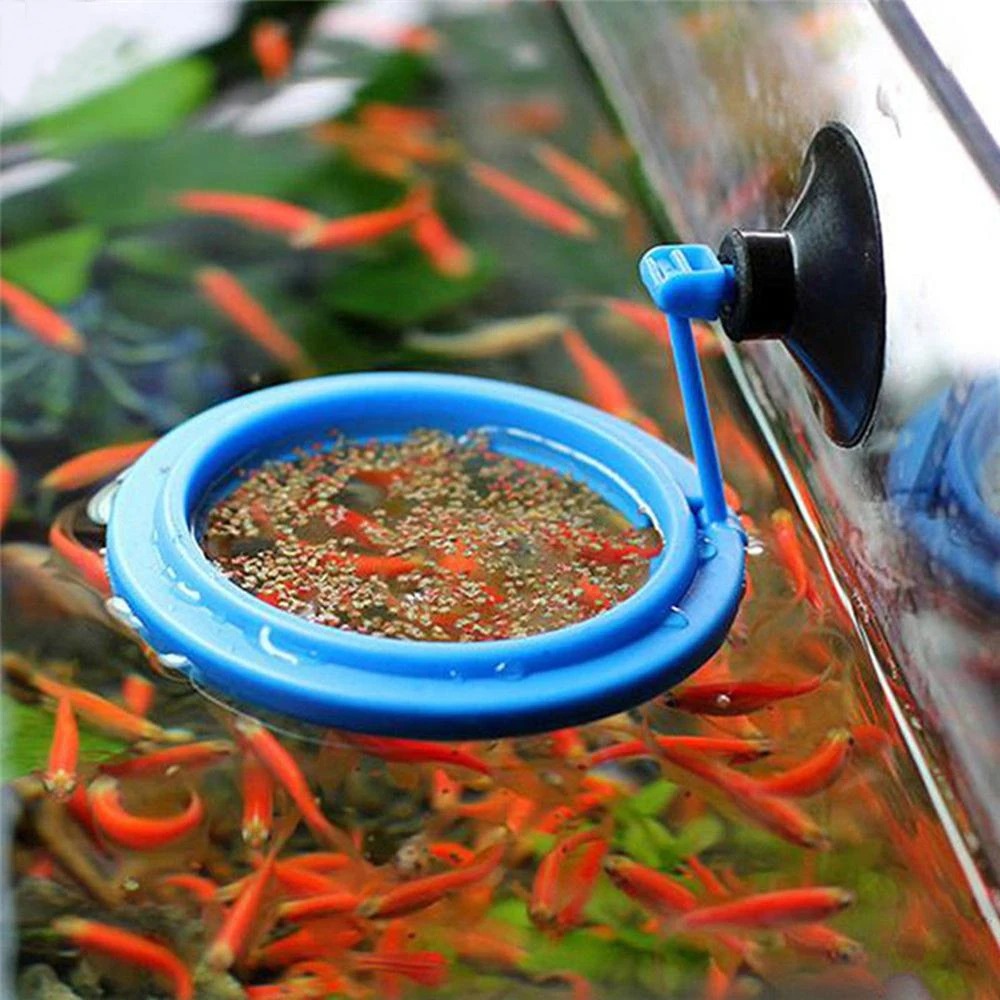 Aquarium Plant Nutrients - Cincin pemberi makan akuarium, stasiun tangki