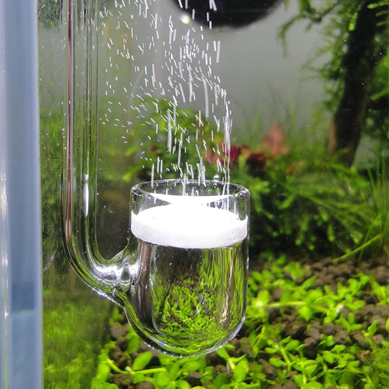 Aquarium Plant Delivery - D0AD Kaca CO2 Diffuser untuk Akuarium