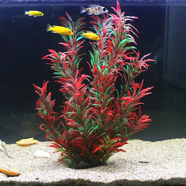 Aquarium Plant Nursery - 50CM Kolam Ikan Buatan Tanaman Langka