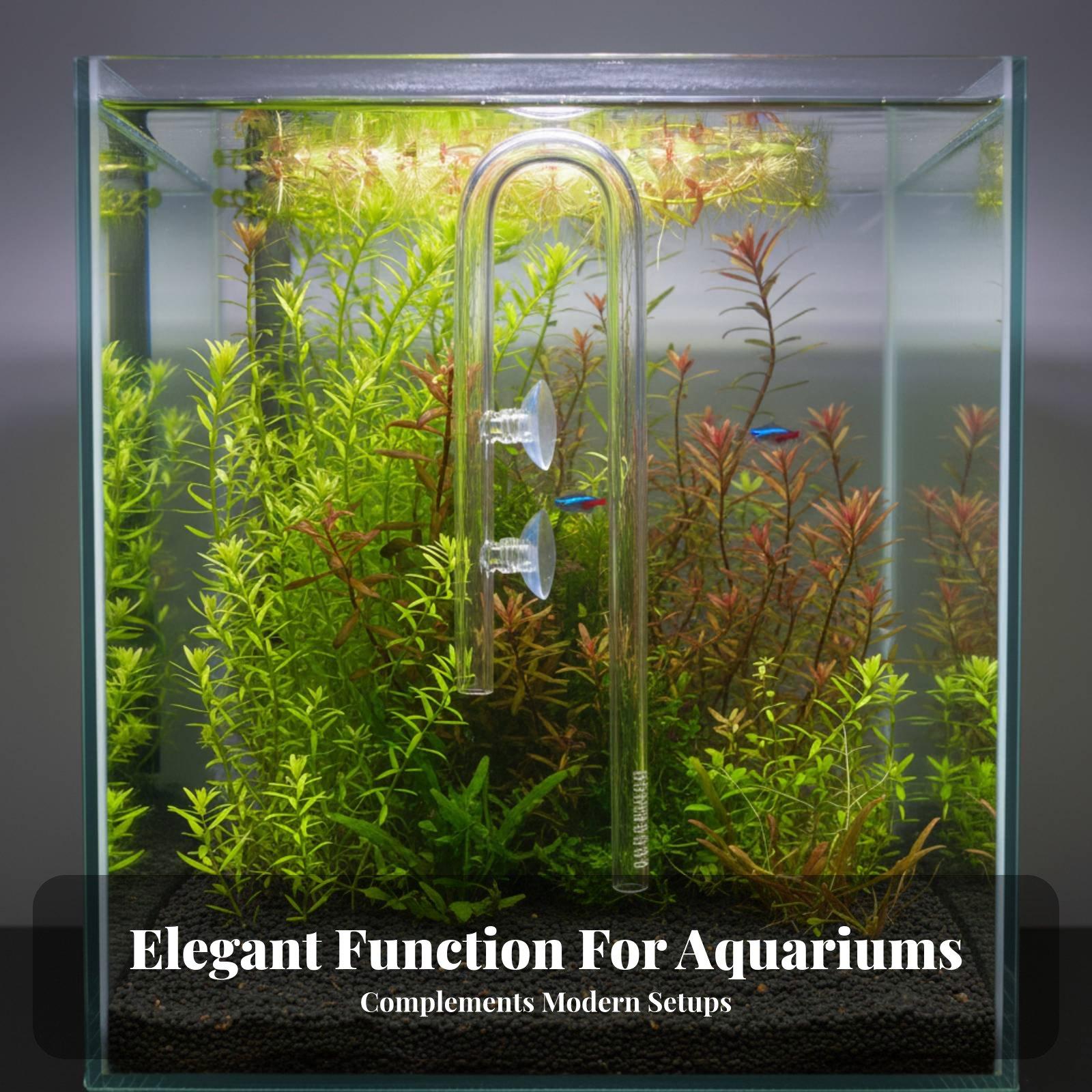 Pipa Lily Kaca Elegan untuk Al - Aquarium Plant Nutrients ulasan dan harga