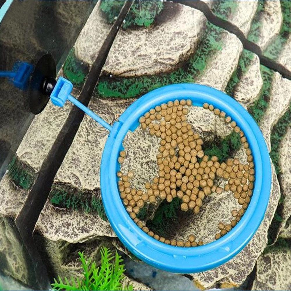 Cincin pemberi makan akuarium, - Aquarium Plant Nutrients ulasan dan harga