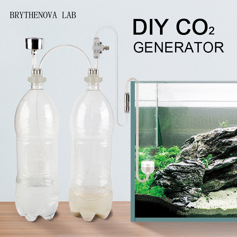 Generator CO2 untuk Akuarium T - Aquarium Plant Delivery ulasan dan harga