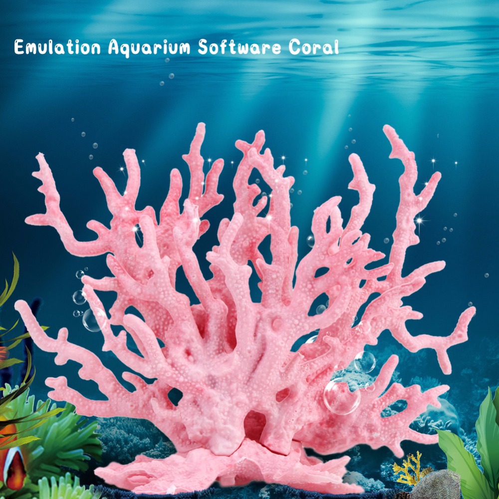 Dekorasi akuarium karang tangk - Planted Aquarium Hard Water ulasan dan harga