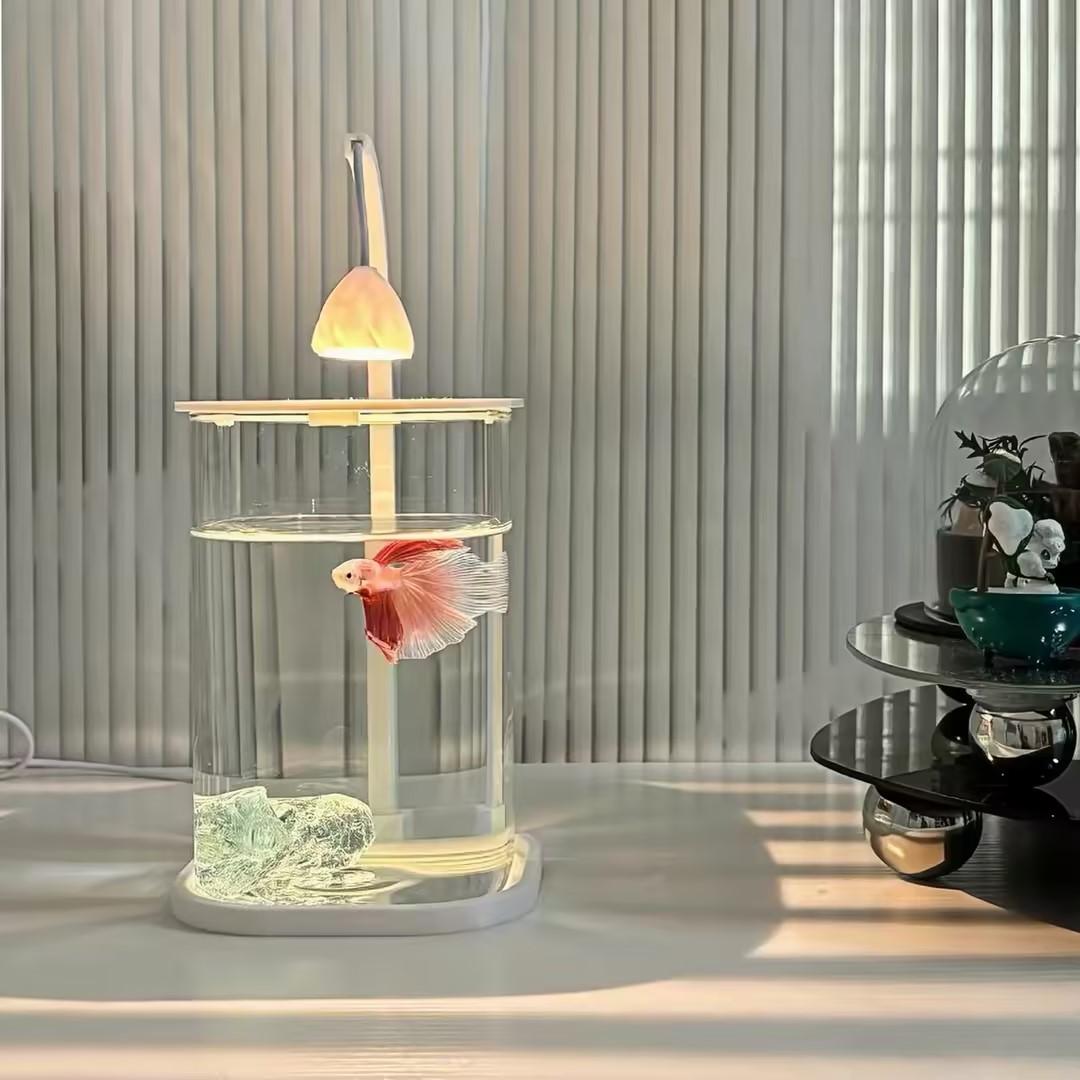 360 °   Akuarium Mini Transpar - Planted Aquarium For Goldfish ulasan dan harga