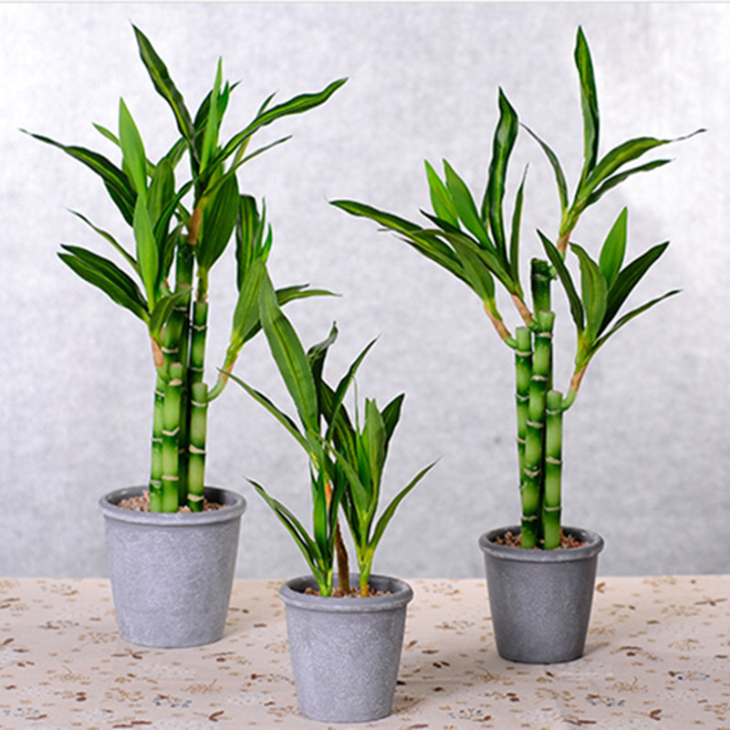 Baru 40Cm RFtificial Bambu Ber - Aquarium Plant Nursery ulasan dan harga