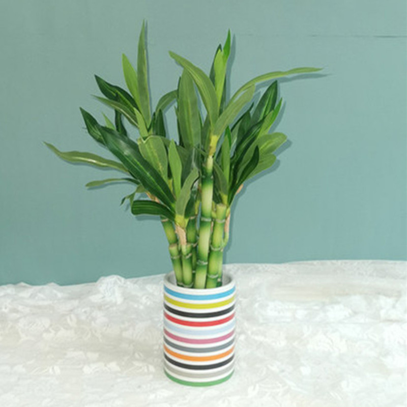 Baru 40Cm RFtificial Bambu Ber - Aquarium Plant Nursery ulasan dan harga
