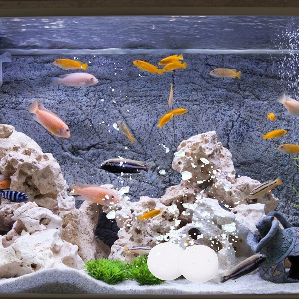 3 Kantong Tablet Co2 Penguat E - Aquarium Plant Nutrients ulasan dan harga