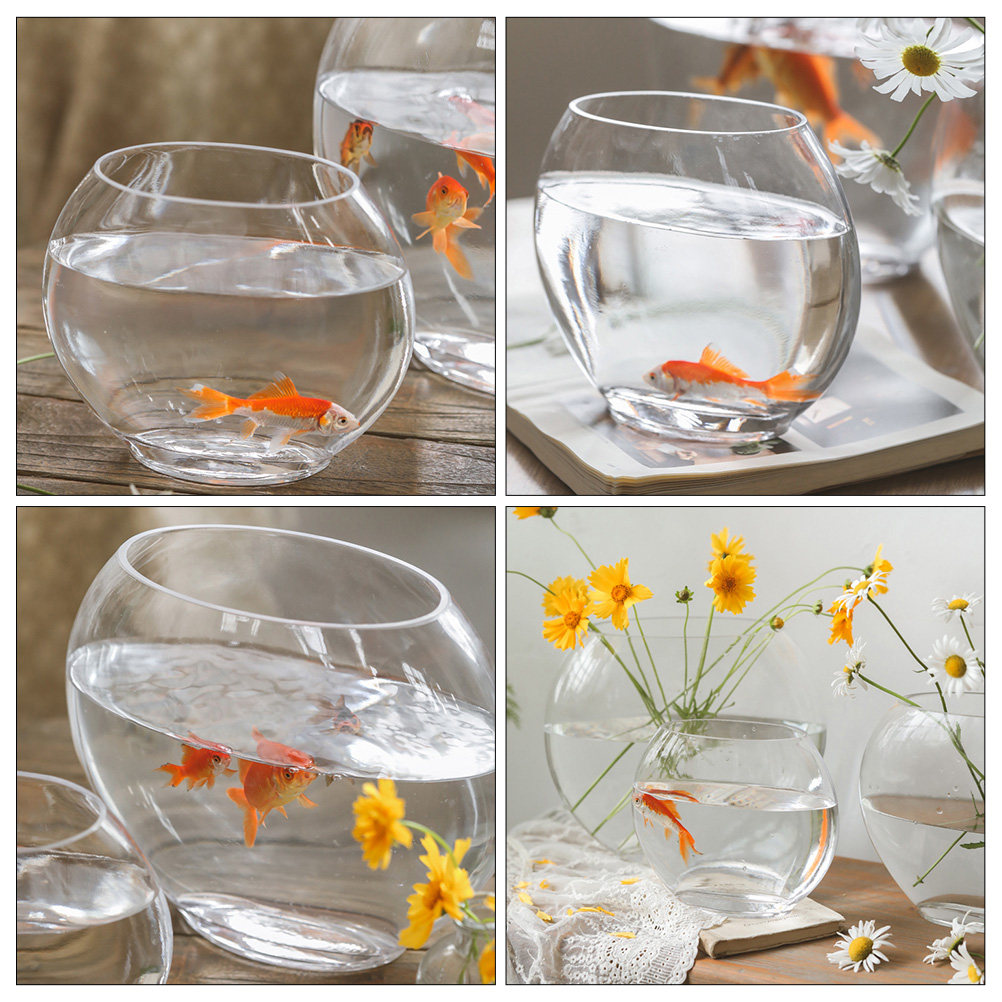 Akuarium Kaca Elegan Desain Tr - Planted Aquarium For Goldfish ulasan dan harga