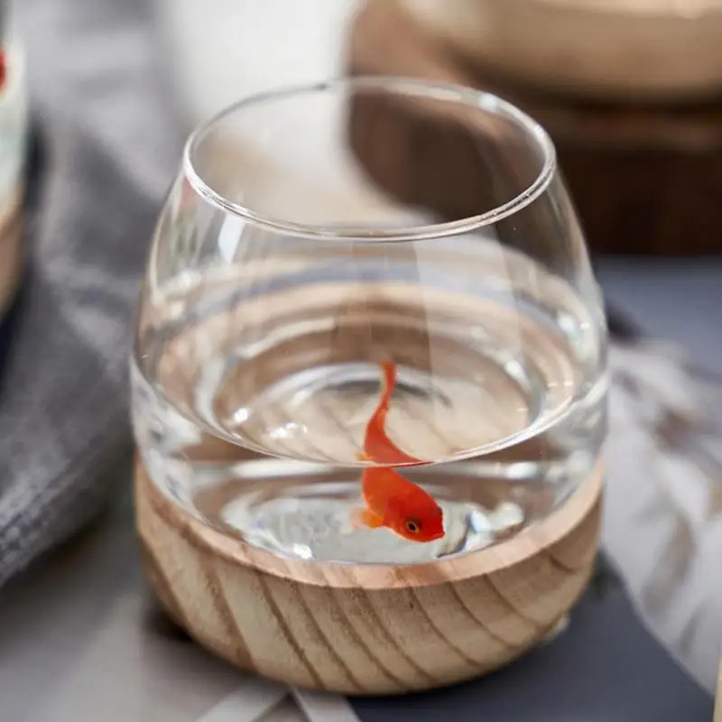 Akuarium Kaca Bulat Dekoratif  - Planted Aquarium For Goldfish ulasan dan harga