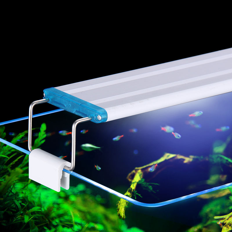 Lampu tanaman air LED Super ti - Aquarium Plant Nursery ulasan dan harga
