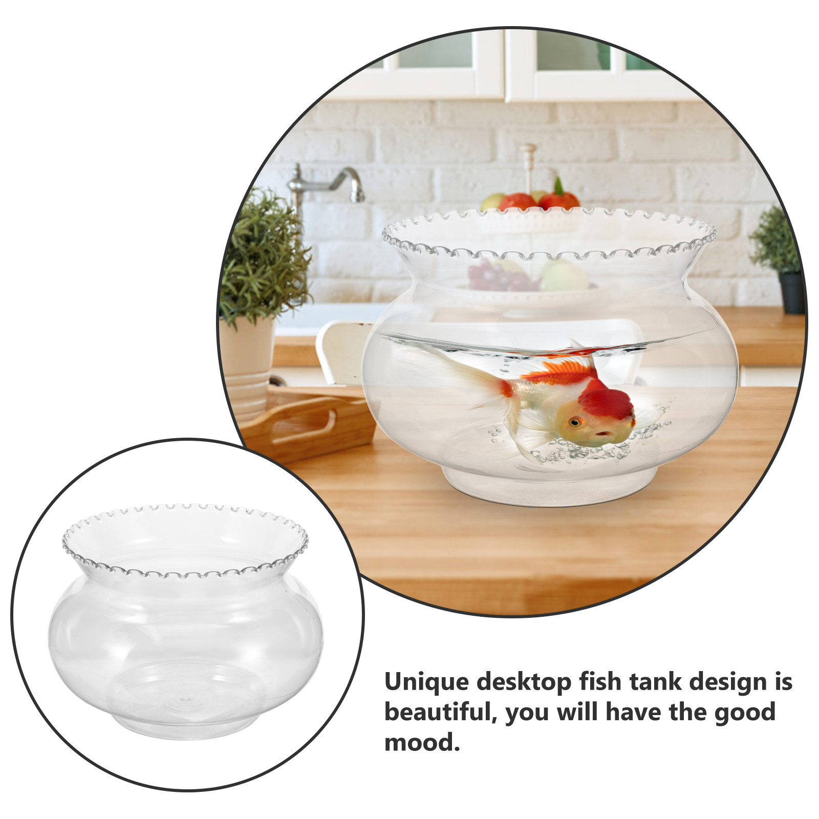 Akuarium Meja Plastik Multifun - Planted Aquarium For Goldfish ulasan dan harga