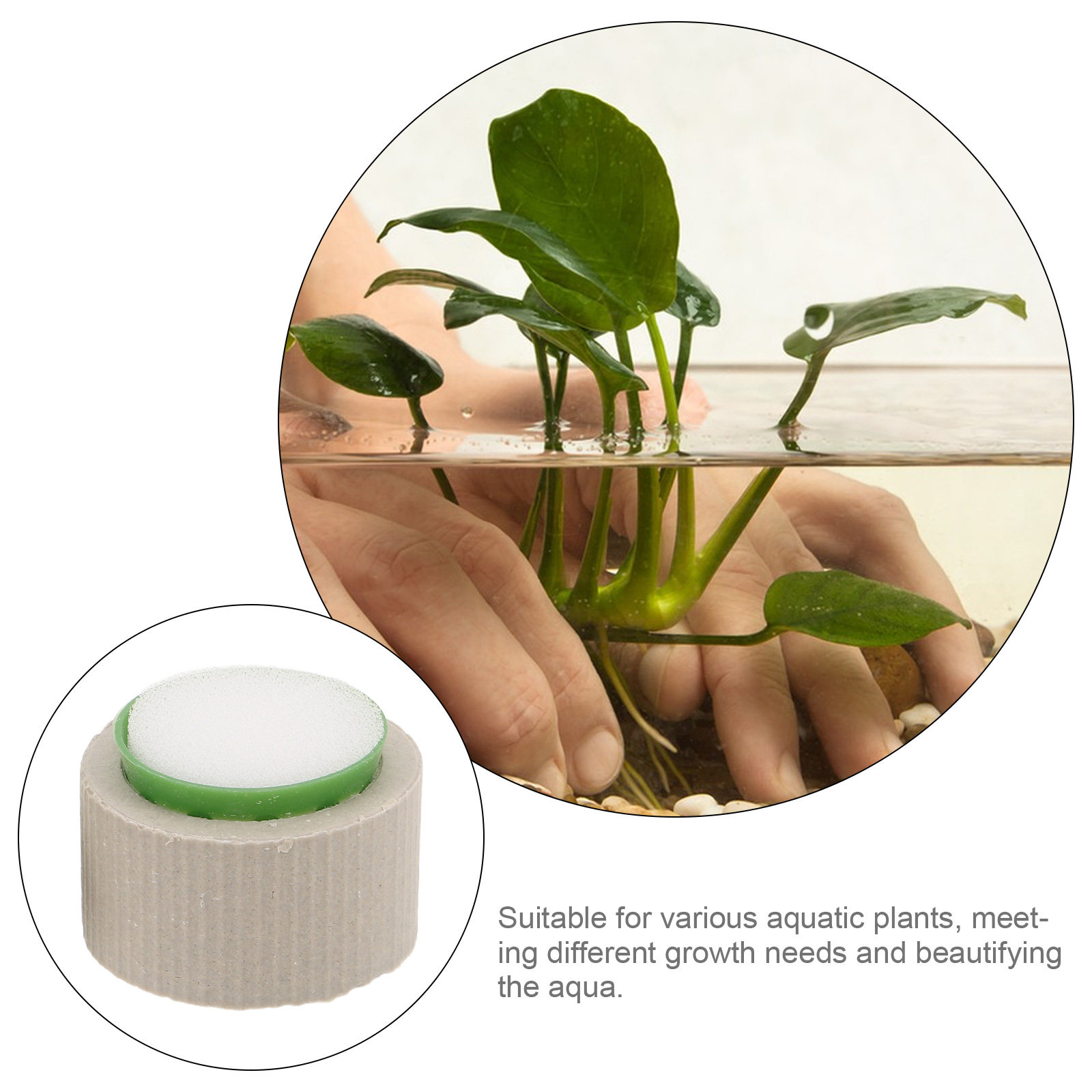 9Pcs Cincin Penyangga Tanaman  - Aquarium Plant Nutrients ulasan dan harga