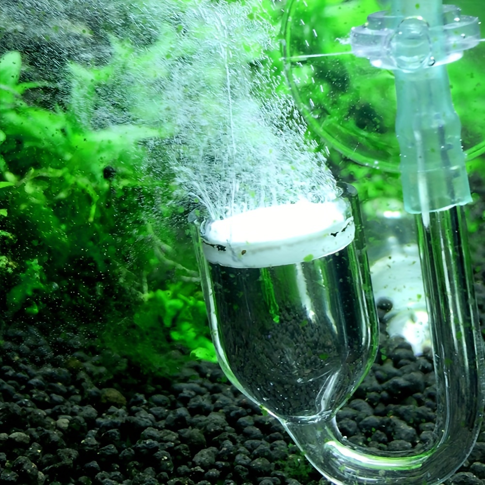 Aquarium kaca CO2 Atomizer Dif - Aquarium Plant Nursery ulasan dan harga