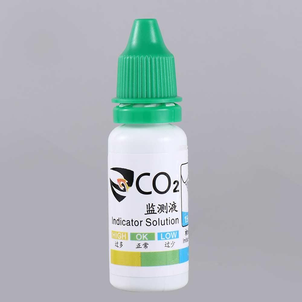 Kit Akuarium Tanaman Air, Peng - Aquarium Plant Nursery ulasan dan harga