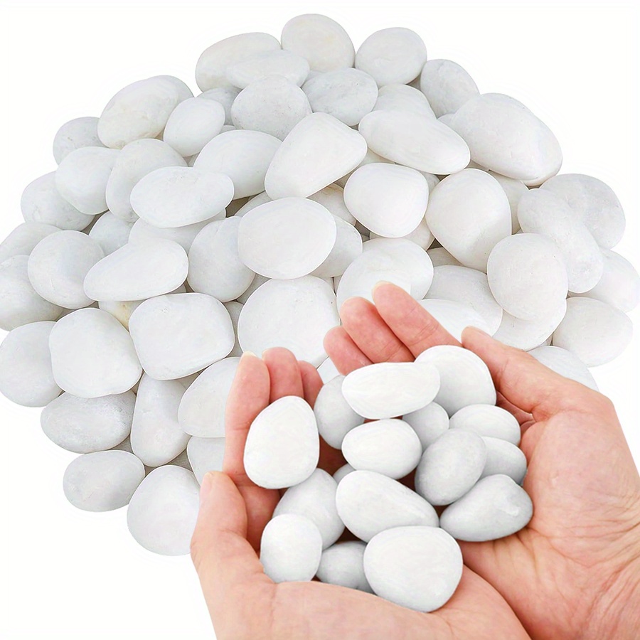 200/400g Batu Kerikil Putih Po - Aquarium Plant Nursery ulasan dan harga