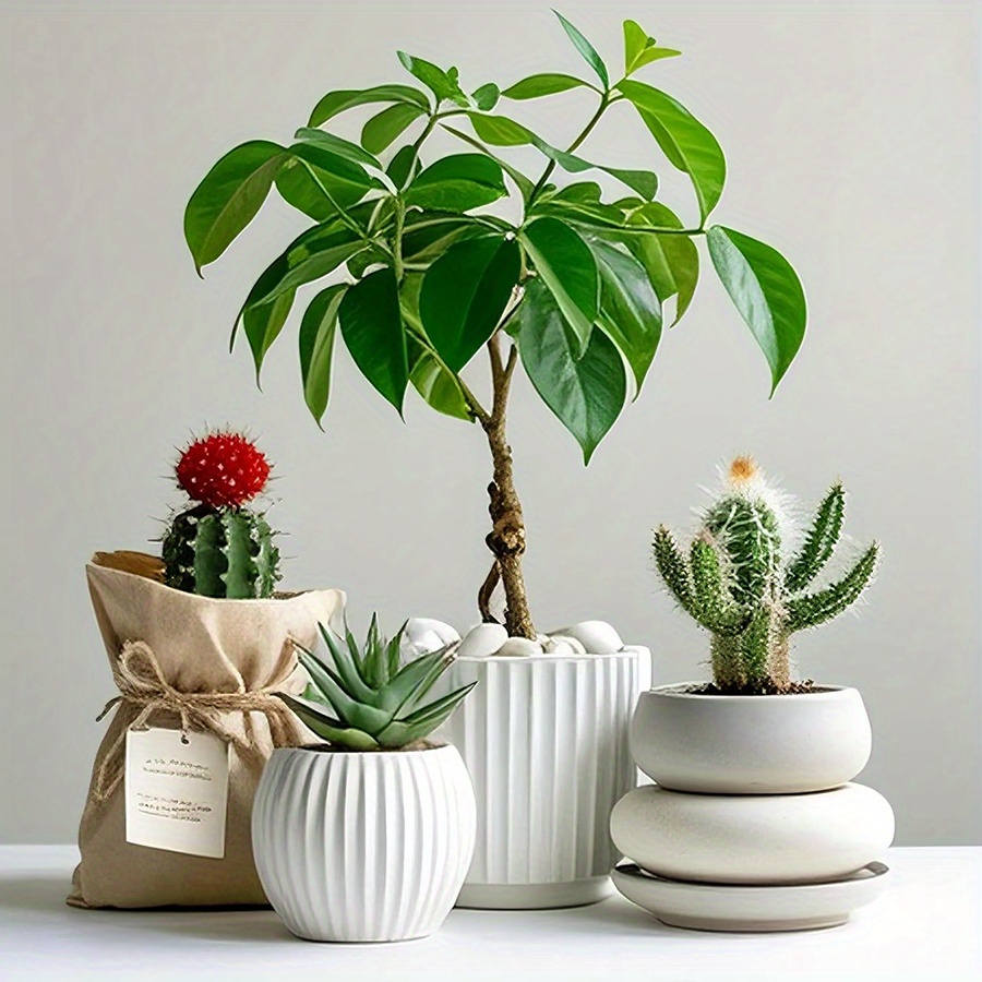 200/400g Batu Kerikil Putih Po - Aquarium Plant Nursery ulasan dan harga