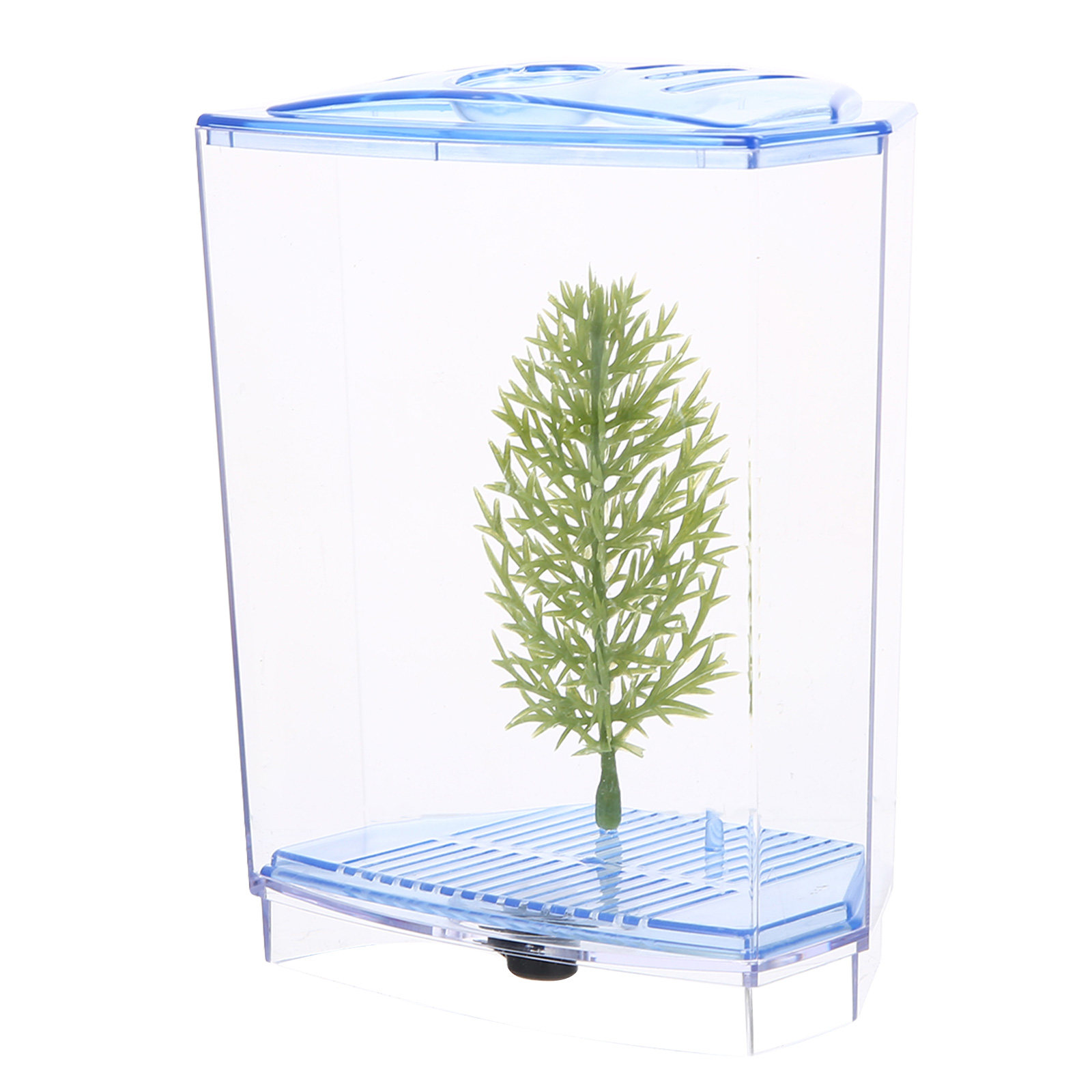 Akuarium Plastik Transparan Mi - Planted Aquarium For Goldfish ulasan dan harga