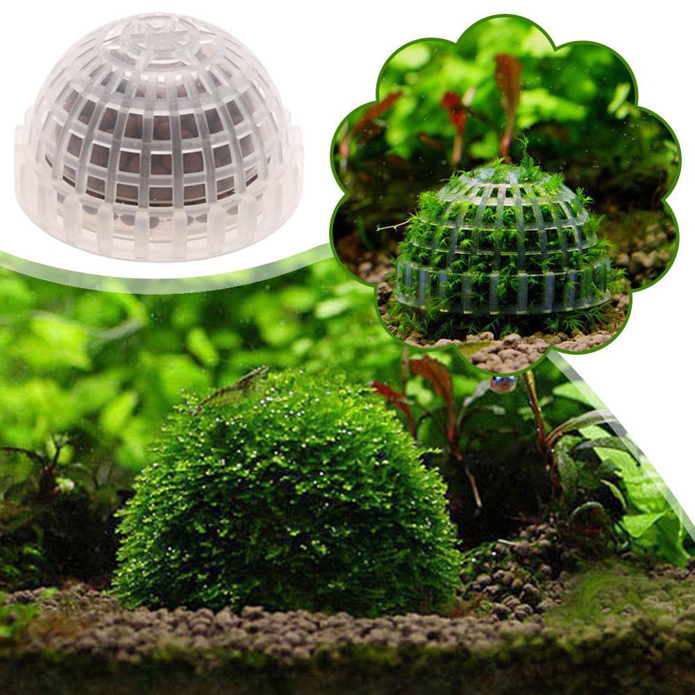 1/2/3/4/5 Buah Dekorasi Akuari - Aquarium Planted Tank Filter ulasan dan harga