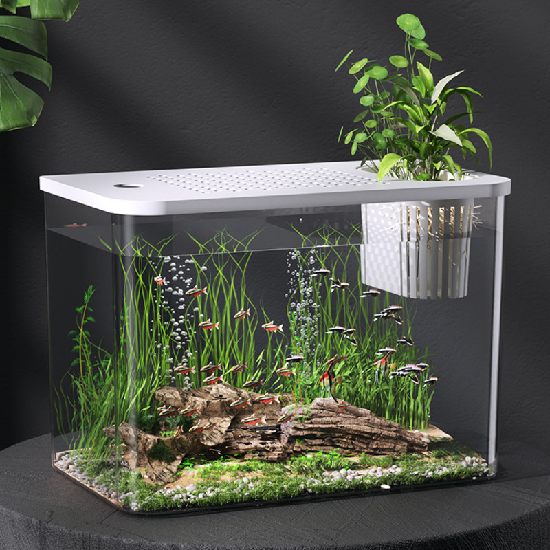 Akuarium Plastik Dengan Tutup, - Planted Aquarium For Goldfish ulasan dan harga