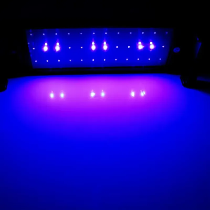 GAKO 11W ZJL-60A Lampu LED Aku - Planted Aquarium Competition ulasan dan harga