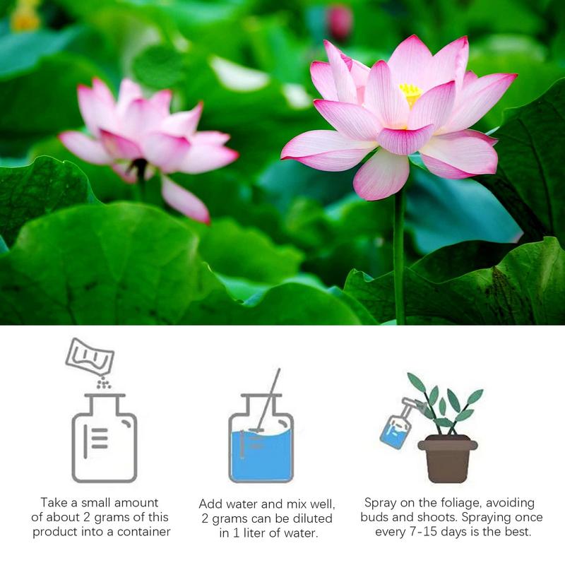 200G Bubuk Pupuk Berbunga Lili - Aquarium Plant Nutrients ulasan dan harga