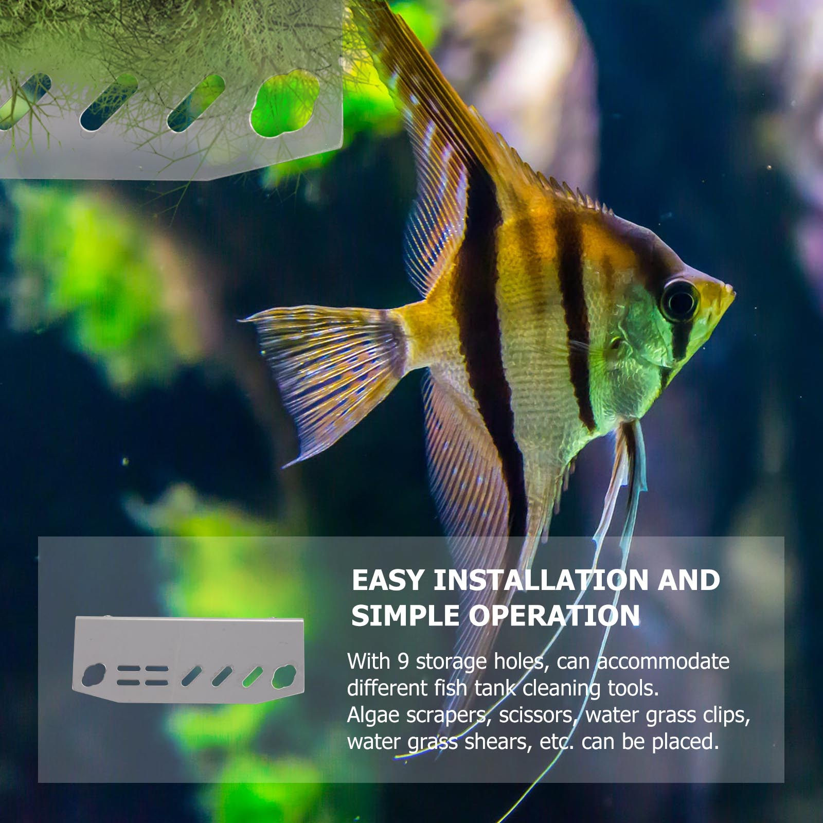 1Pcs Rak Alat Akuarium Stainle - Planted Aquarium Supplies ulasan dan harga