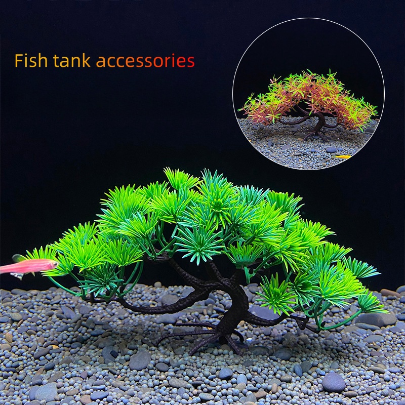 Pohon bonsai akuarium, tanaman - Planted Aquarium For Goldfish ulasan dan harga