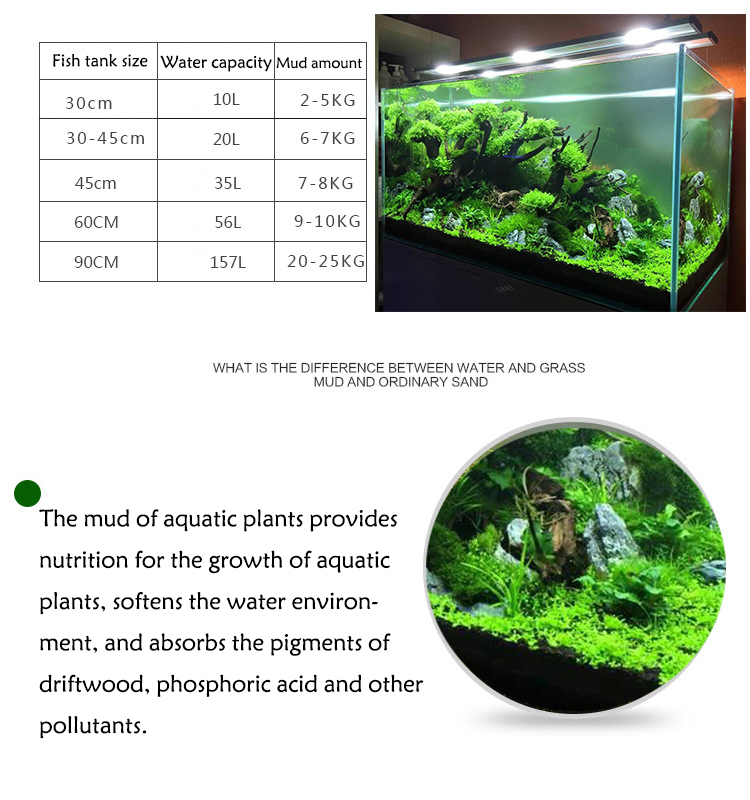 Bibit Tanaman Akuarium Tanah T - Aquarium Plant Nursery ulasan dan harga
