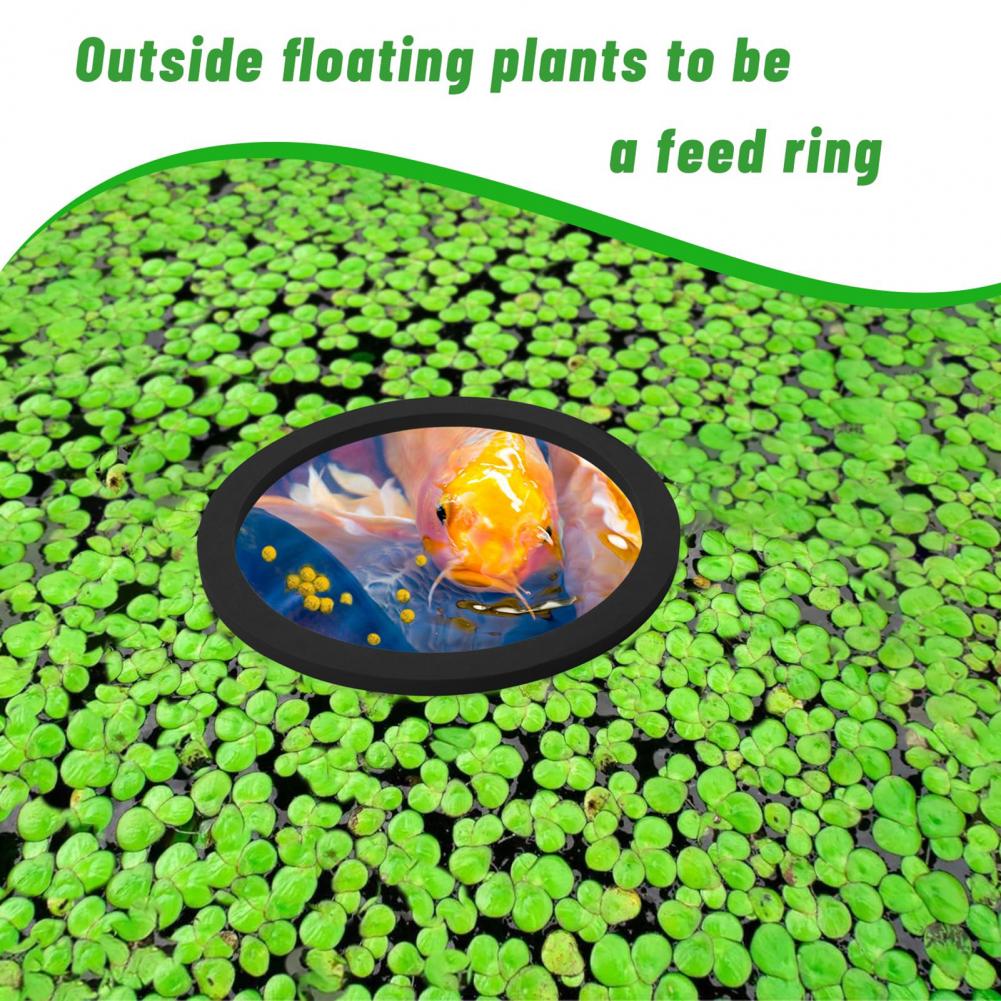 Cincin Mengambang Busa Eva unt - Planted Aquarium For Goldfish ulasan dan harga