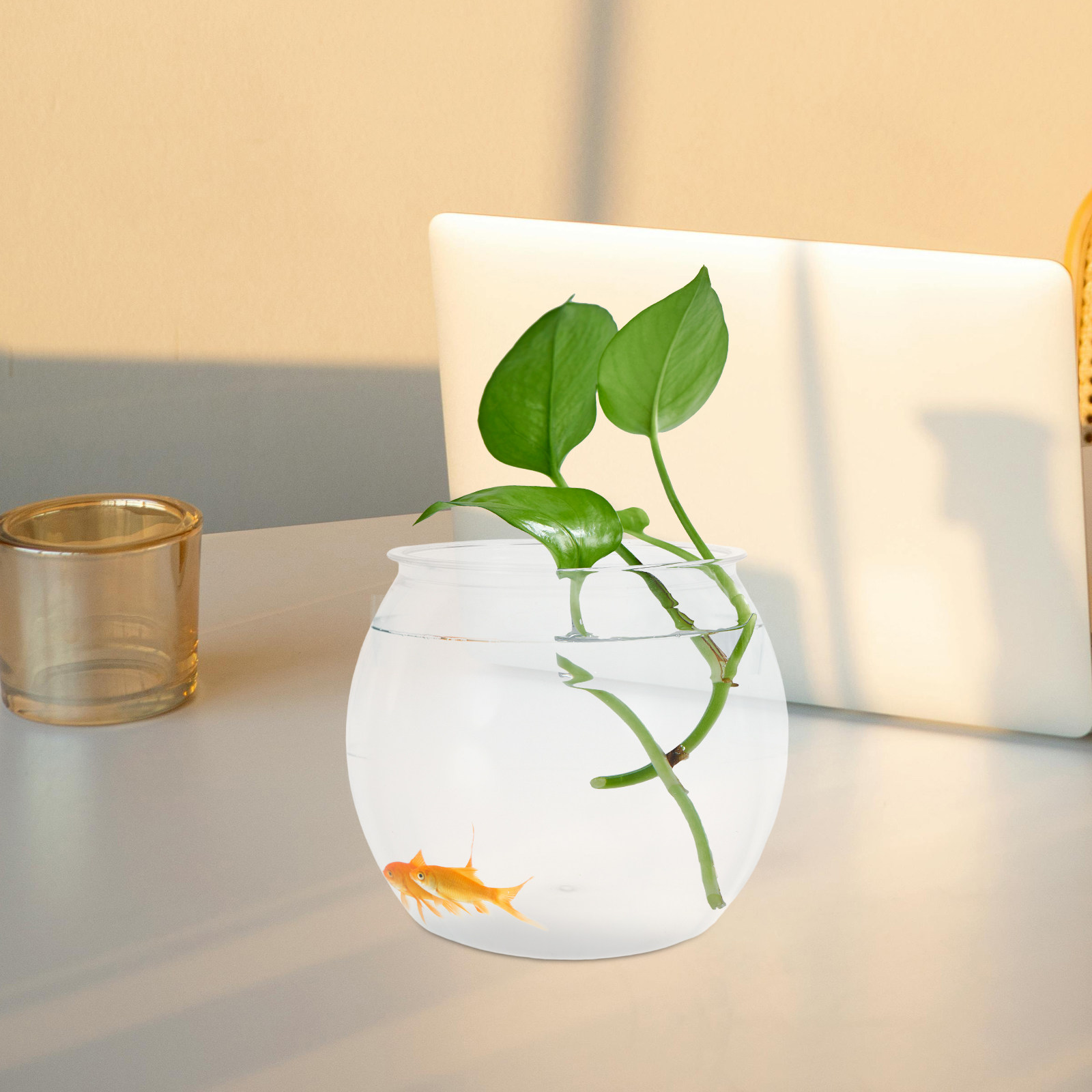 Akuarium Meja Transparan Plast - Planted Aquarium For Goldfish ulasan dan harga