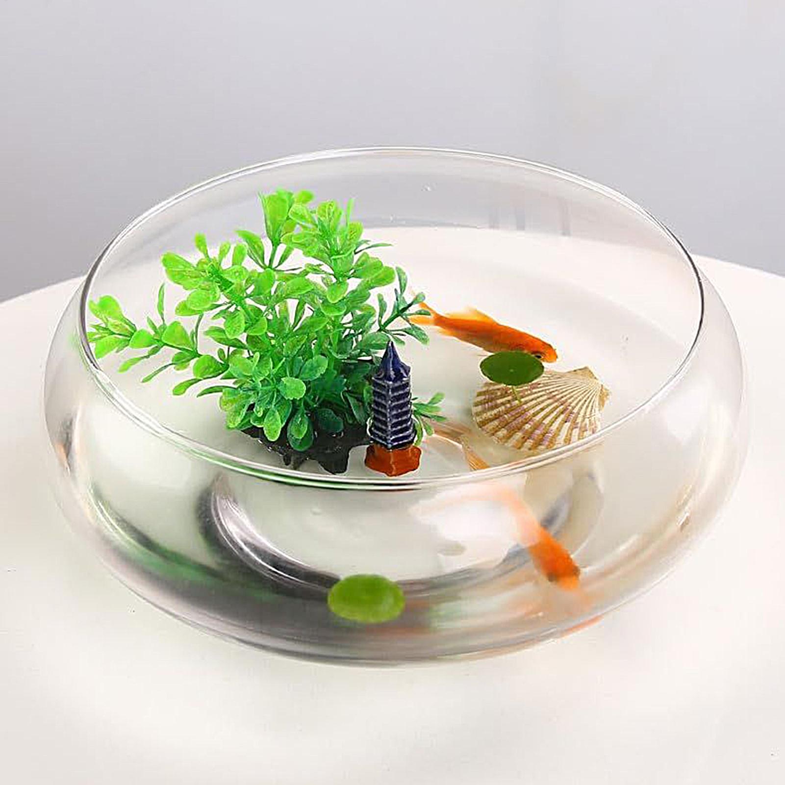 Mangkuk Kaca Ikan Pot Bunga Hi - Planted Aquarium For Goldfish ulasan dan harga