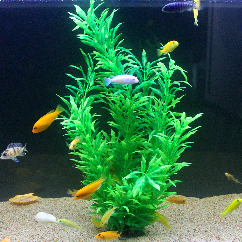 50CM Kolam Ikan Buatan Tanaman - Aquarium Plant Nursery ulasan dan harga