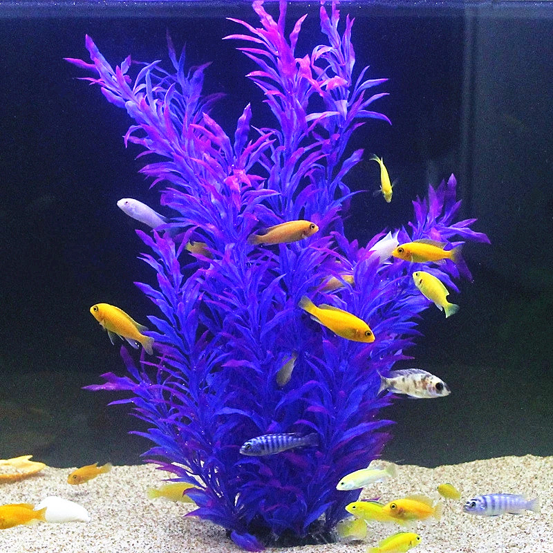 50CM Kolam Ikan Buatan Tanaman - Aquarium Plant Nursery ulasan dan harga