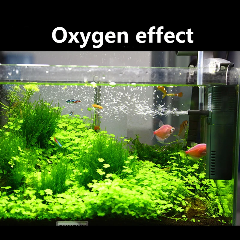 SUNSUN mini nano 111B 311B 611 - Aquarium Planted Tank Filter ulasan dan harga